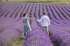 DSC 0006.jpg